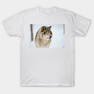 Gray Wolf T-Shirt